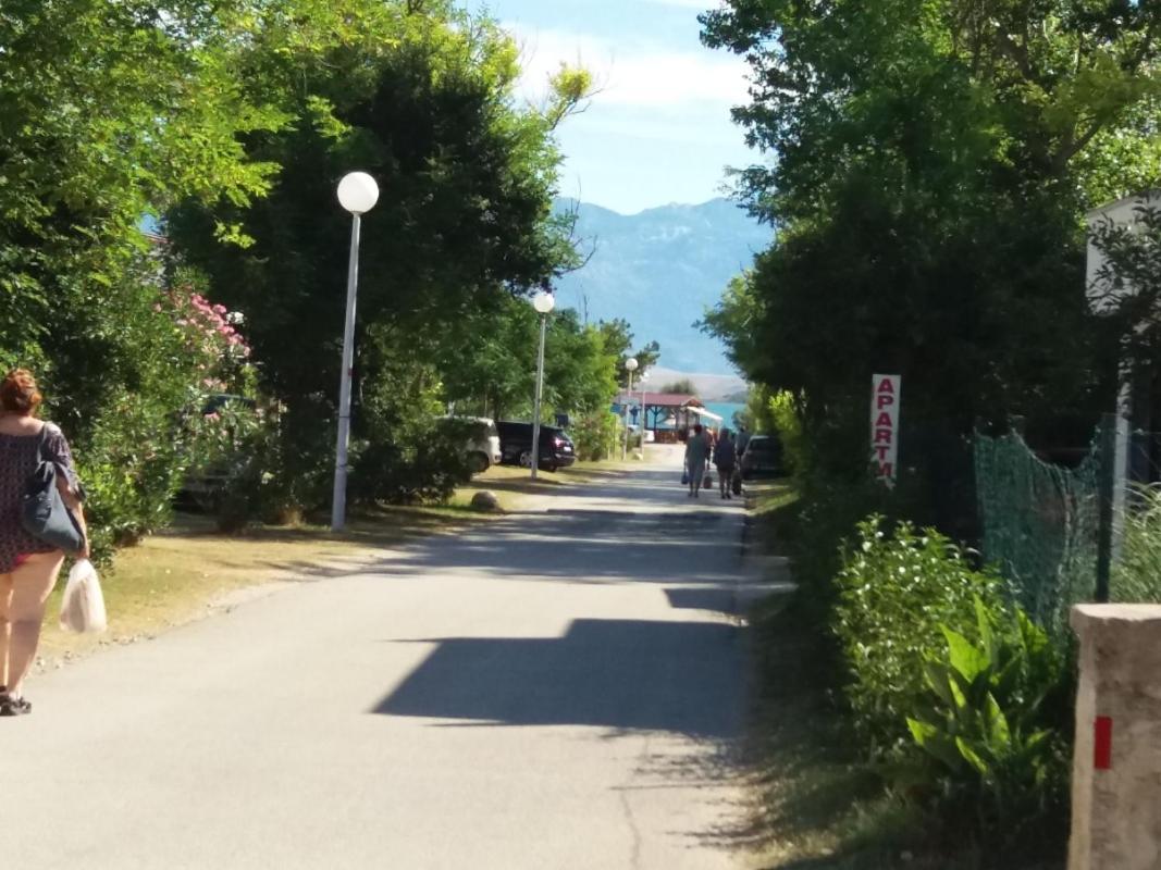 Apartment Visnja -Near Queen Beach Nin Exterior photo